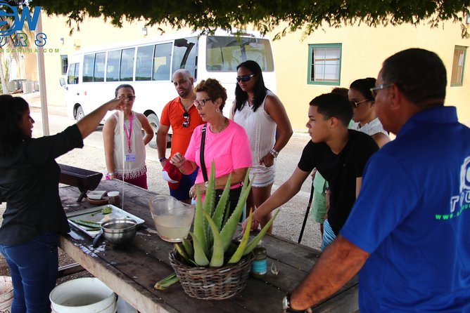 Customized Aruba Island Private Tour for All Ages