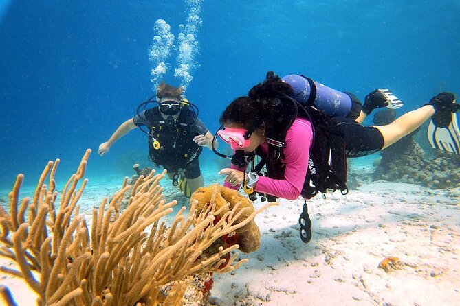 Scuba Diving Excursions Aruba