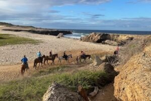 2-Hour Horseback Riding Tour to Little Natural Bridge in Aruba