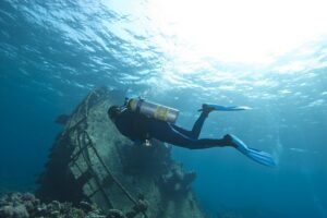 Aruba 2-Tank Dive Excursion for Certified Divers