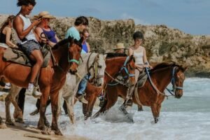 Aruba's Northern Coast Horseback Adventure