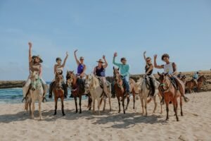 Aruba's Northern Coast Horseback Adventure