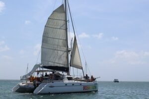 Private Catamaran Sunset Sail