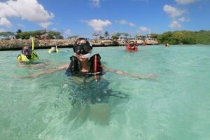 Small Group Snorkeling at Mangel Halto Aruba